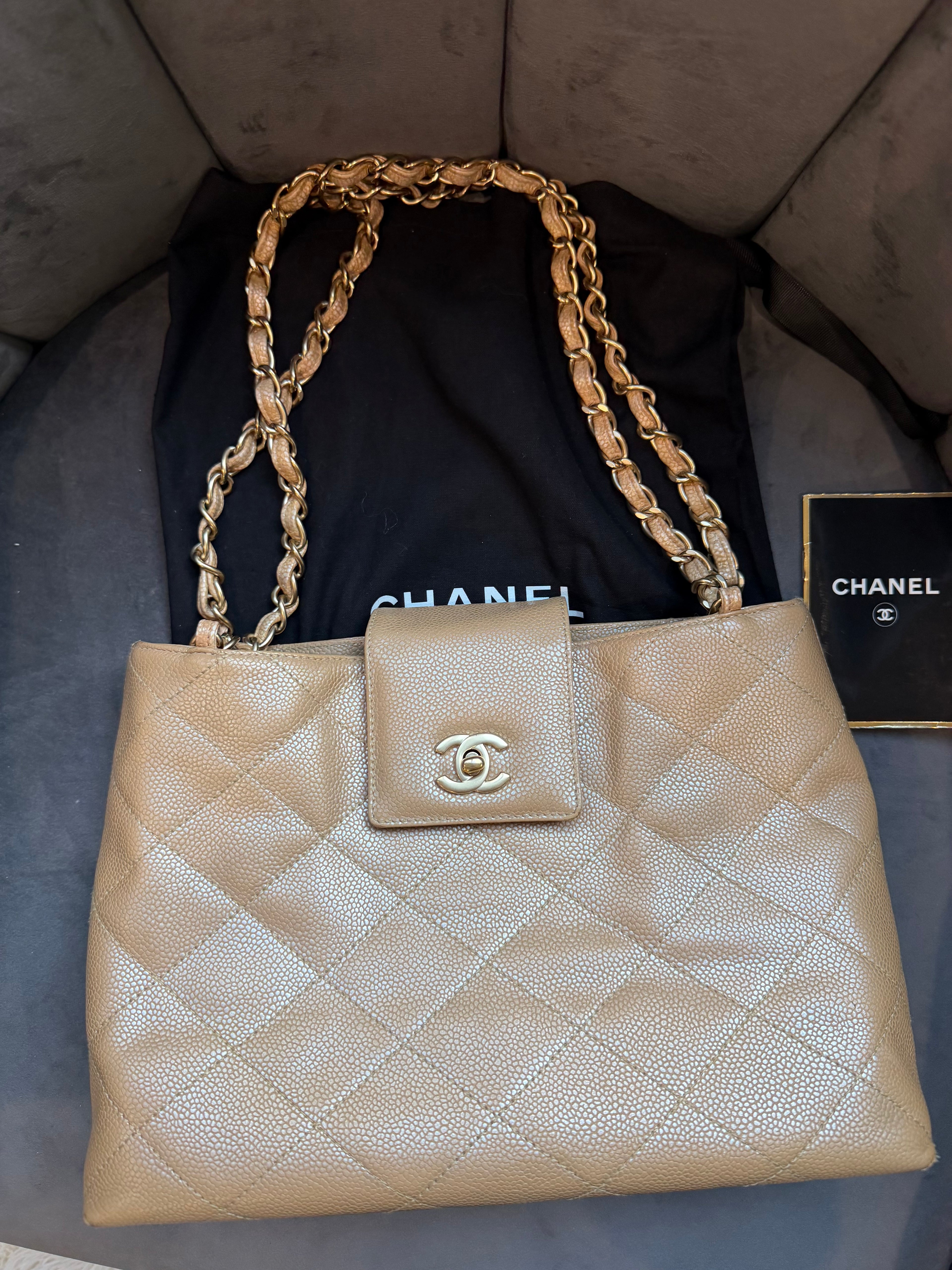 Rare Iridescent CHANEL Kelly Shopper Bag