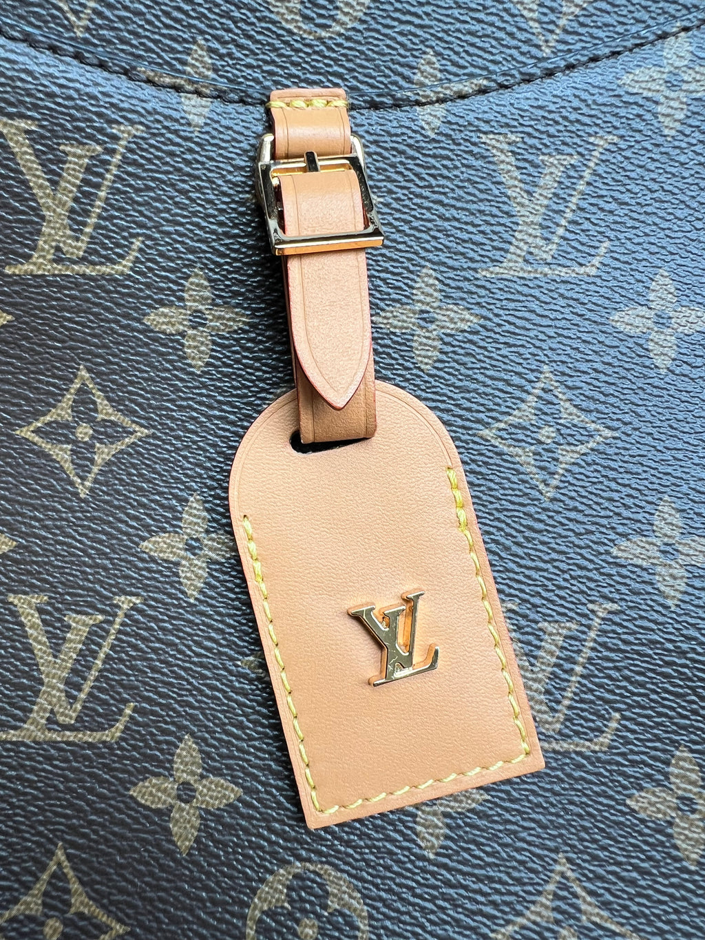 Louis Vuitton Odeon MM