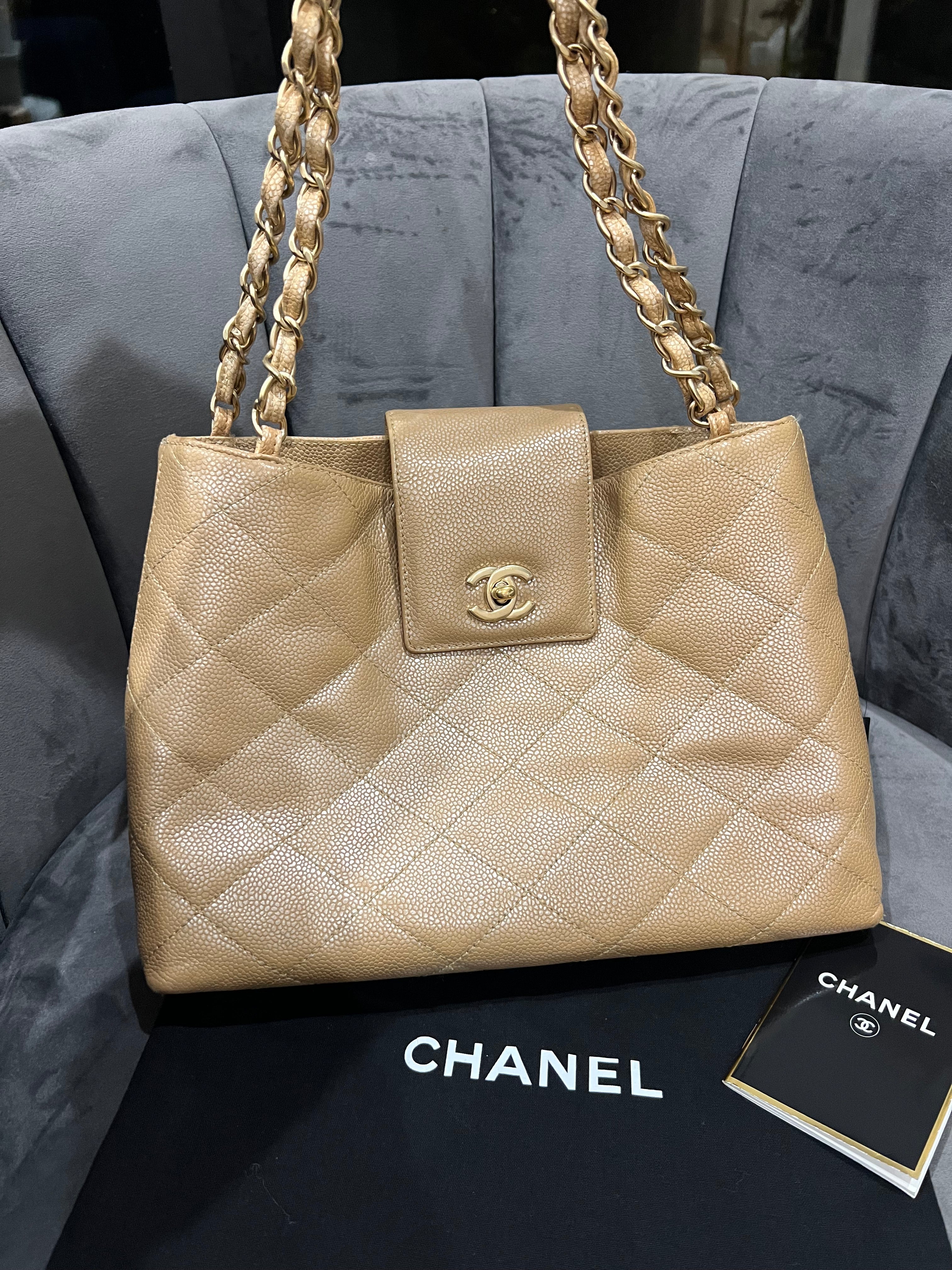 Rare Iridescent CHANEL Kelly Shopper Bag