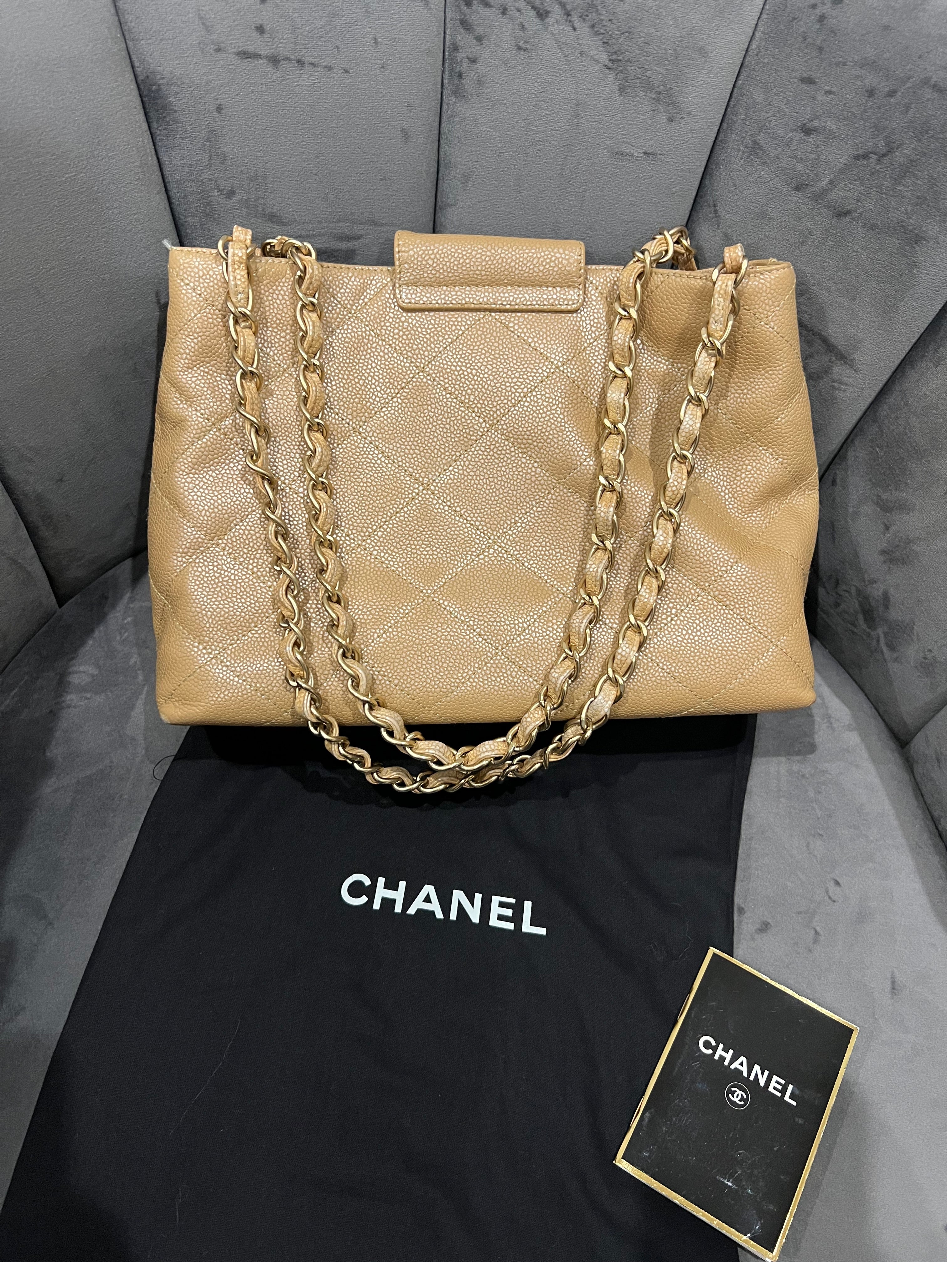 Rare Iridescent CHANEL Kelly Shopper Bag