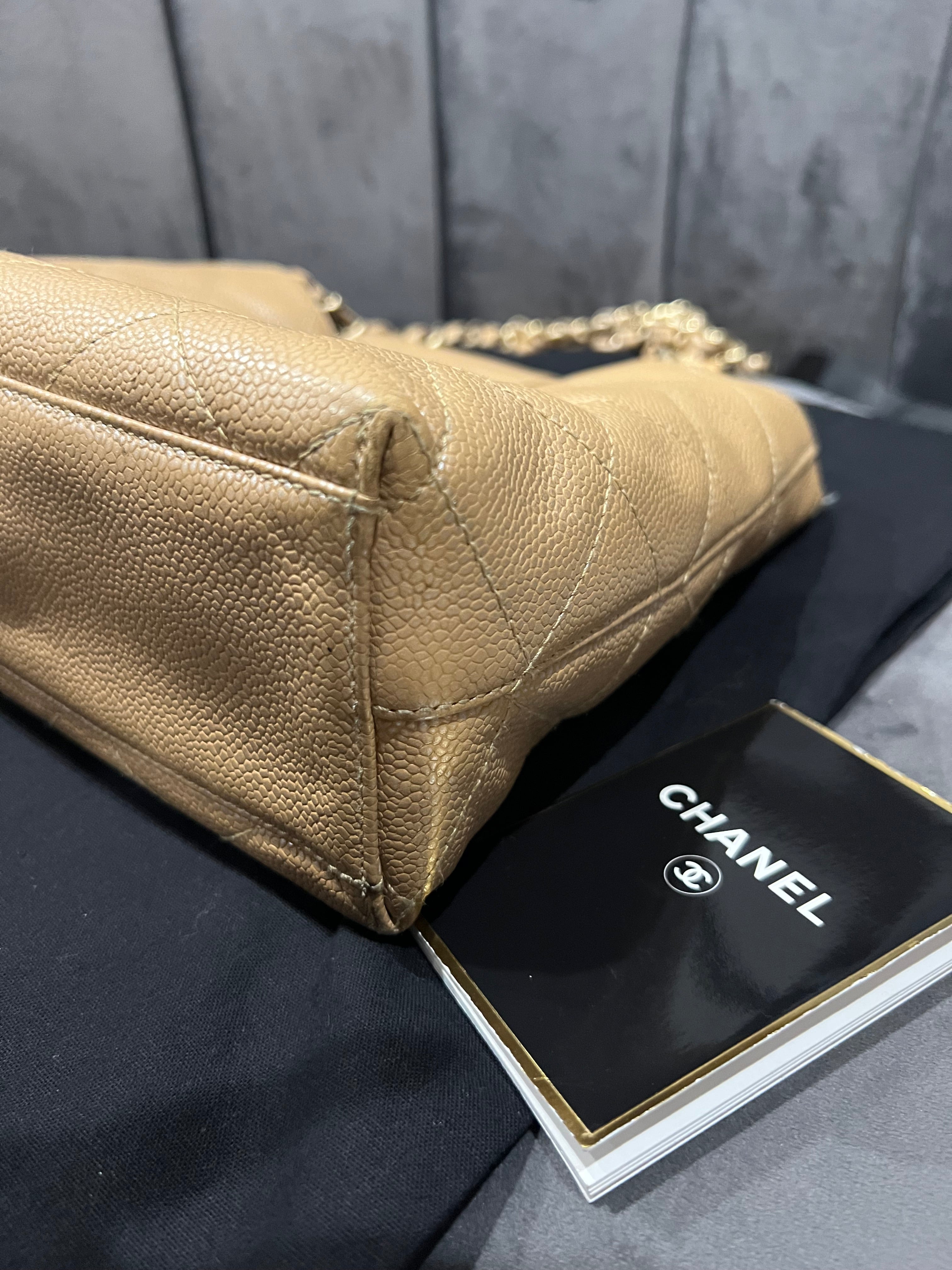 Rare Iridescent CHANEL Kelly Shopper Bag