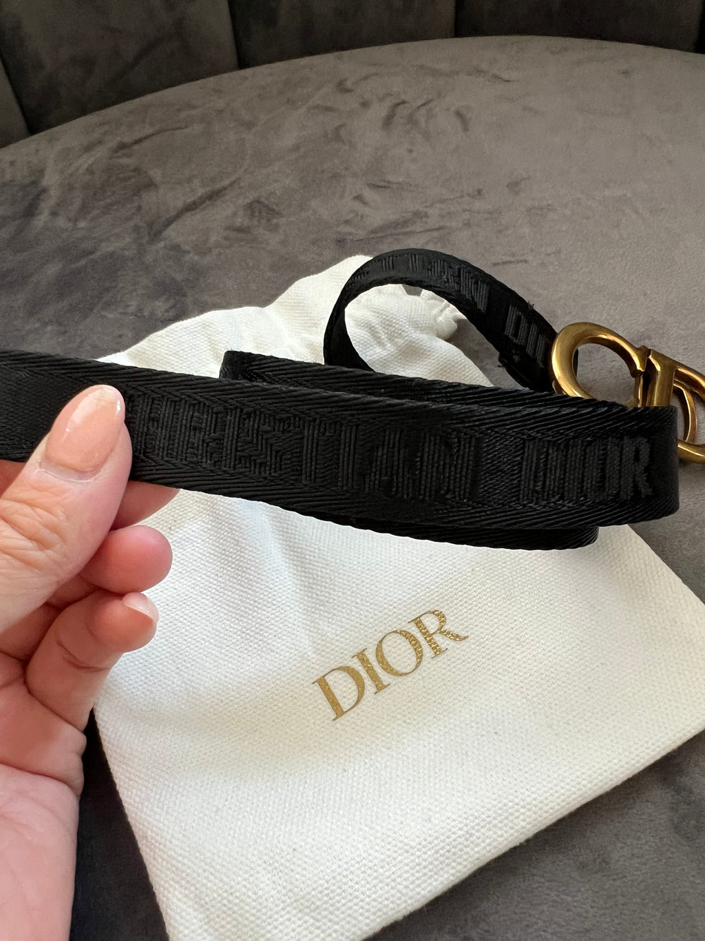 Christian Dior saddle belt