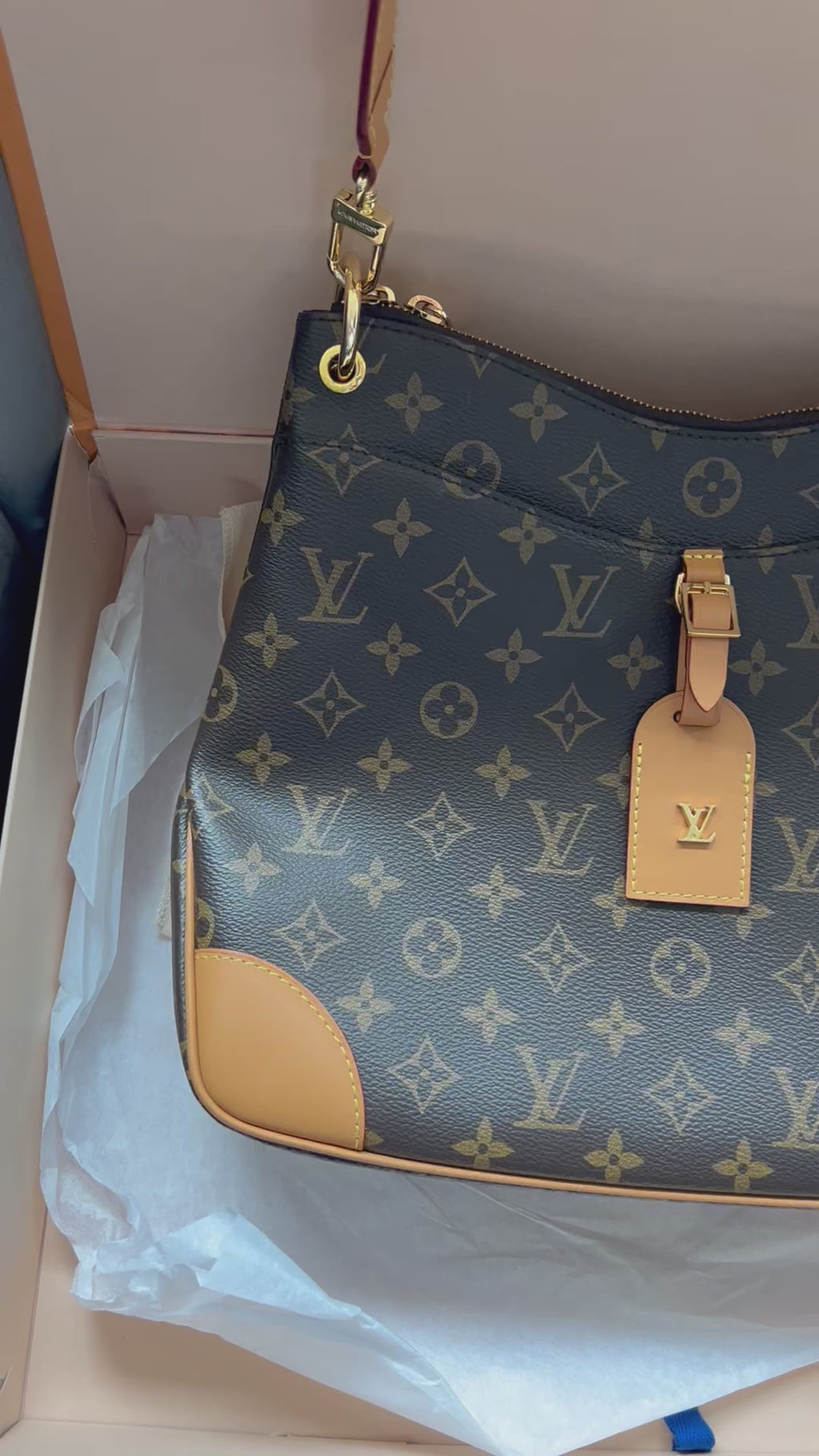 Louis Vuitton Odeon MM